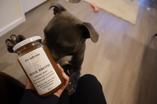 How to use bone broth for pets?